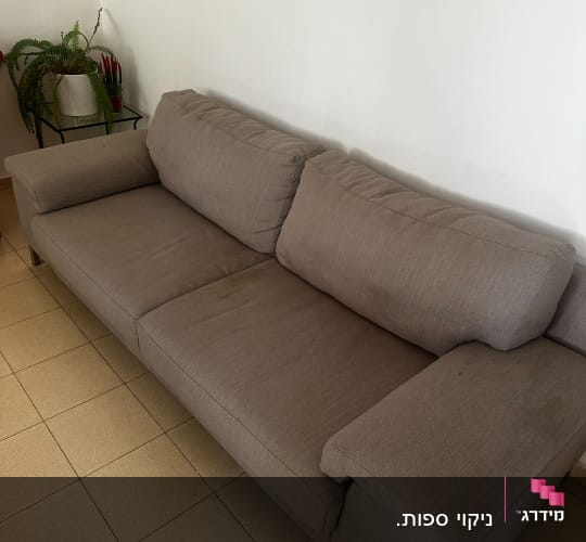 ספה חומה על רצפת אריחים ליד צמח ירוק